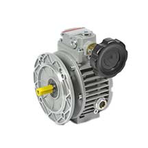 Variatori e motovariatori