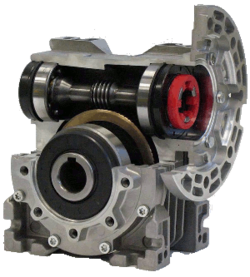 Ortogonali a vite senza fine