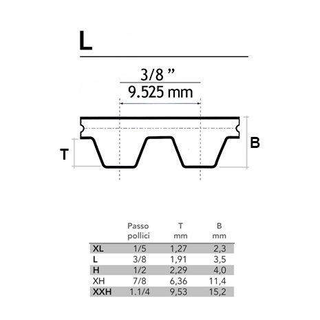 Cinghia dentata pollici L aperta