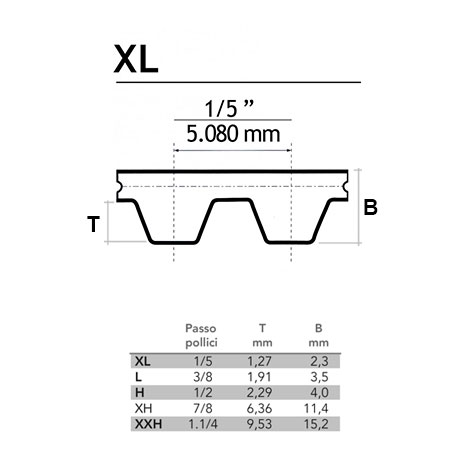 Cinghia dentata pollici XL aperta
