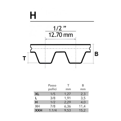 Cinghia dentata pollici H aperta