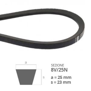 Cinghia trapezoidale Sezione 8V