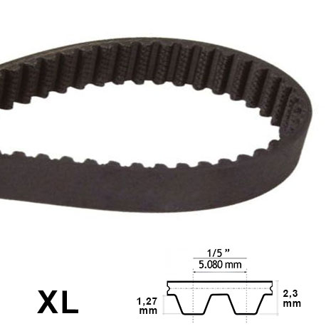 Cinghia pollici XL