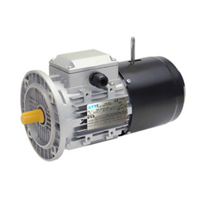 Motore asincrono autofrenante B3/B5/B14