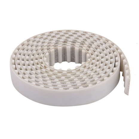 Cinghia dentata pollici