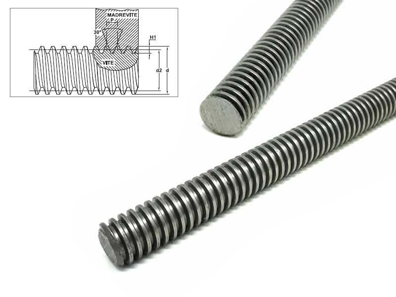 Vite rullata trapezoidale in Acciaio (TR25X05), 1 Principio, Destra, Diametro 25 mm, Passo 5, Lunghezza 1000 mm
