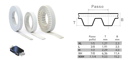 Confronto dentate Passo T