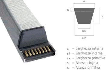 Cinghie trapezoidali