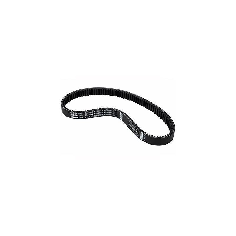 Accessorio Nord, Cinghia per variatore Z 33/9X906LI R196 cod.71992000